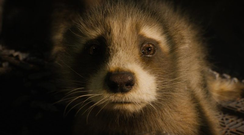 Sean Gunn voiced the young Rocket Raccoon in "Guardians of the Galaxy Vol. 3" (2023)