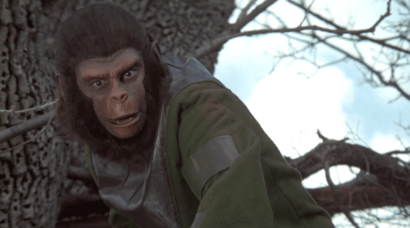 A scene from "Battle for the Planet of the Apes" (1973)