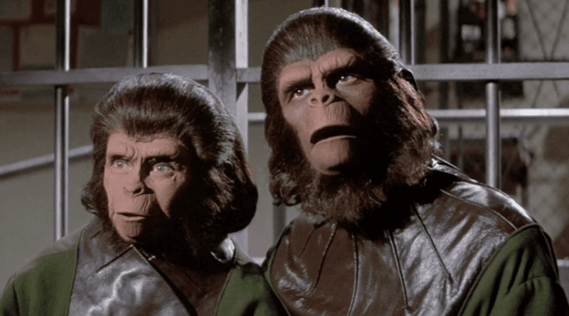 A scene from "Escape from the Planet of the Apes" (1971)